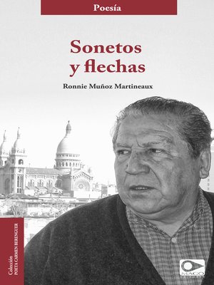 cover image of Sonetos y flechas